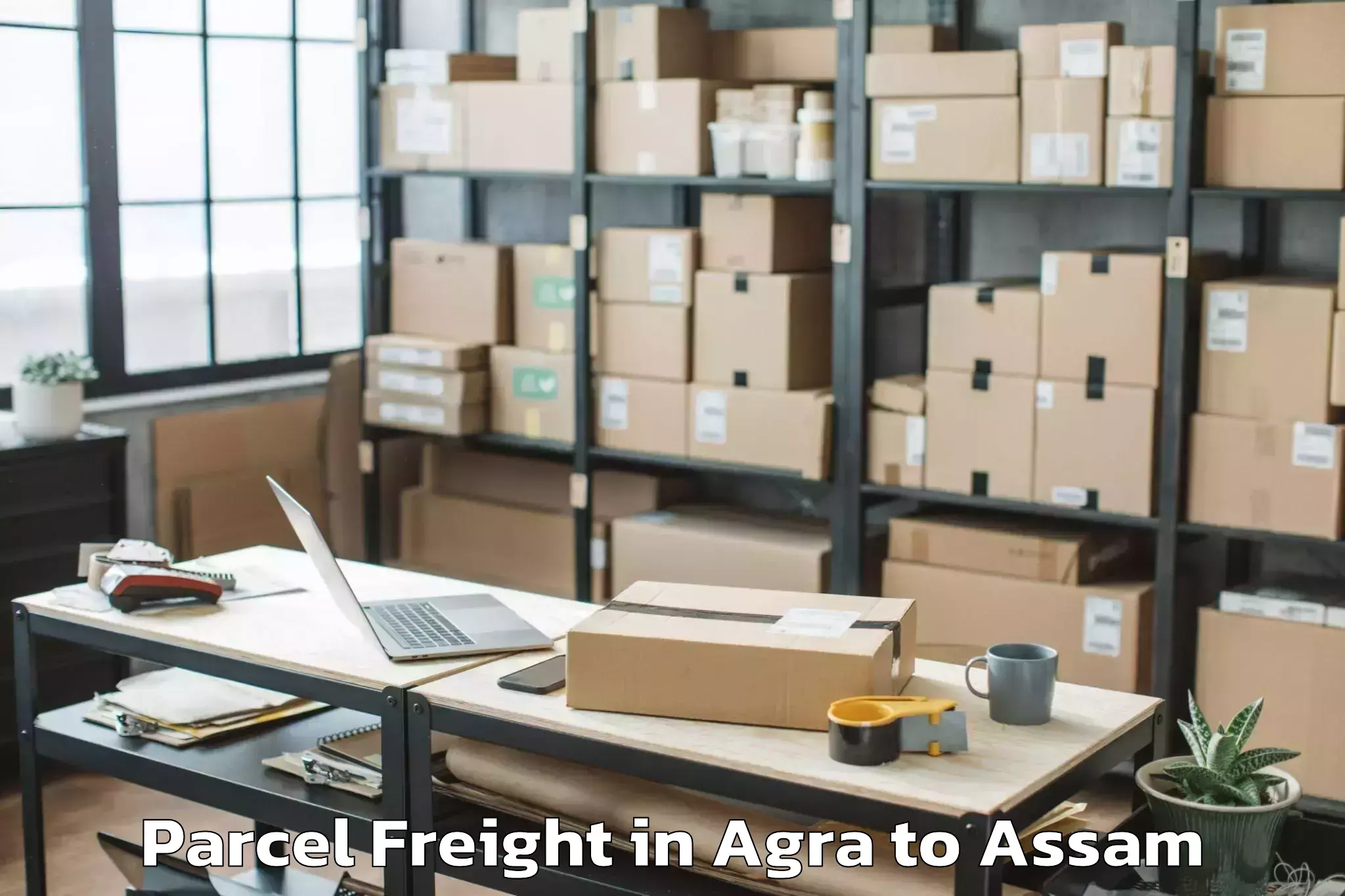 Book Your Agra to Silapathar Parcel Freight Today